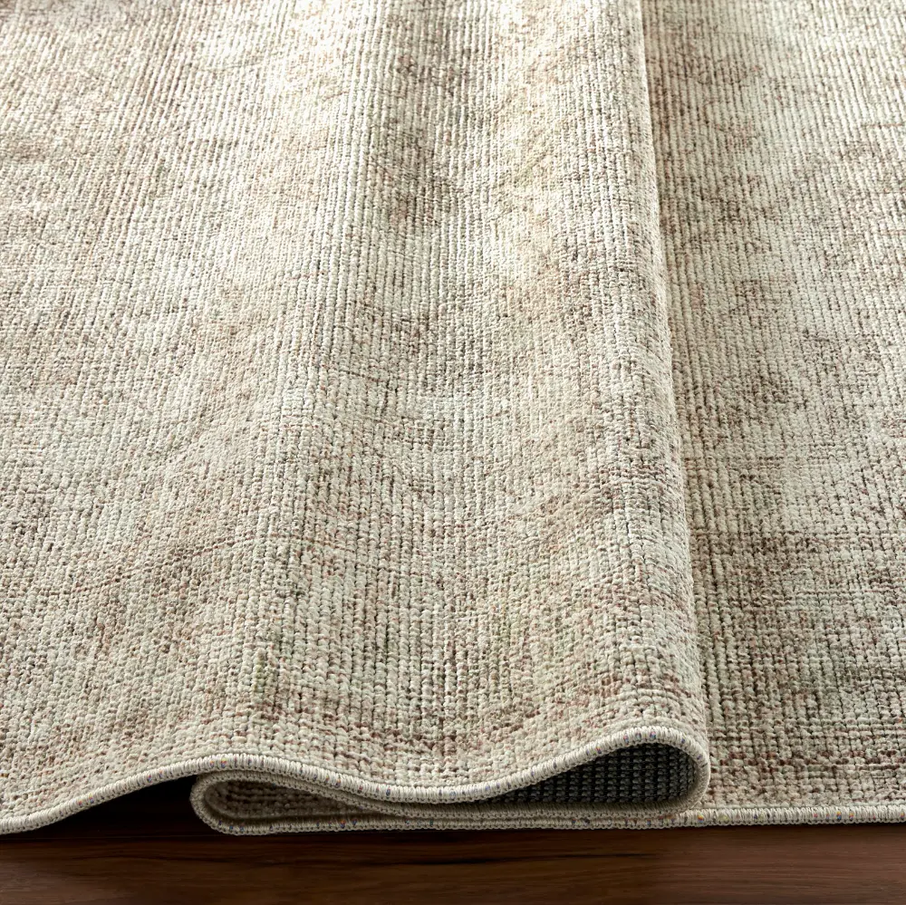 Margot Becki Owens X Livabliss Vintage Oriental Boho Sage/Cream Rug - Image 3
