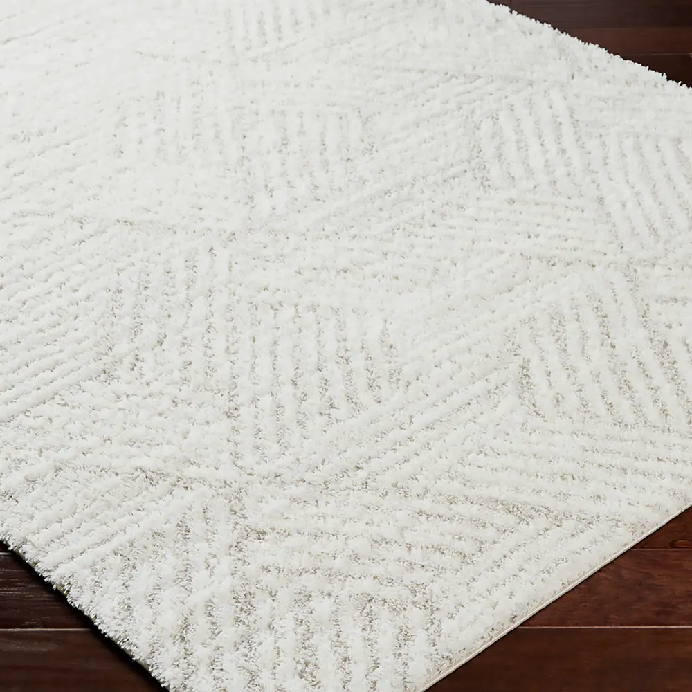 Allie Shaggy Geometric Plush Pile Beige Rug - Image 8