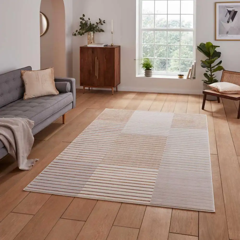 Apollo Think E2681 Bronze Grey Rug