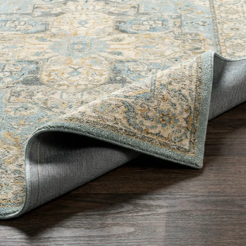 Avellino Vintage Beige Blue Gray Traditional Boho High Pile Living Dining Bedroom Rug AVL2300 - Image 9