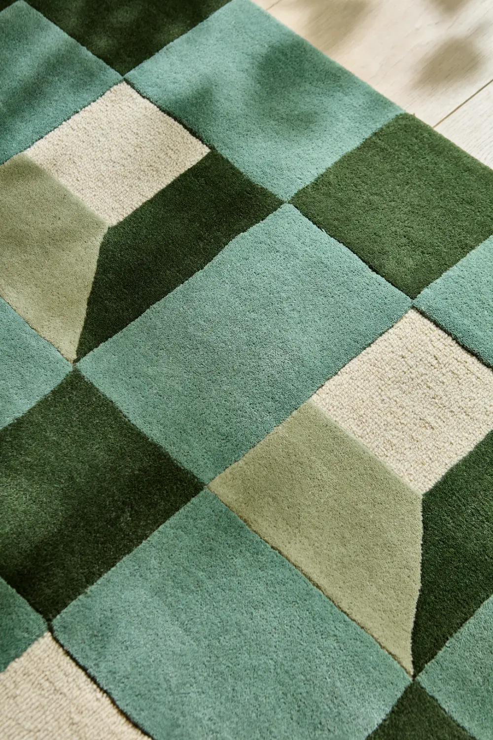 Blocks Fern 141907 - Image 3