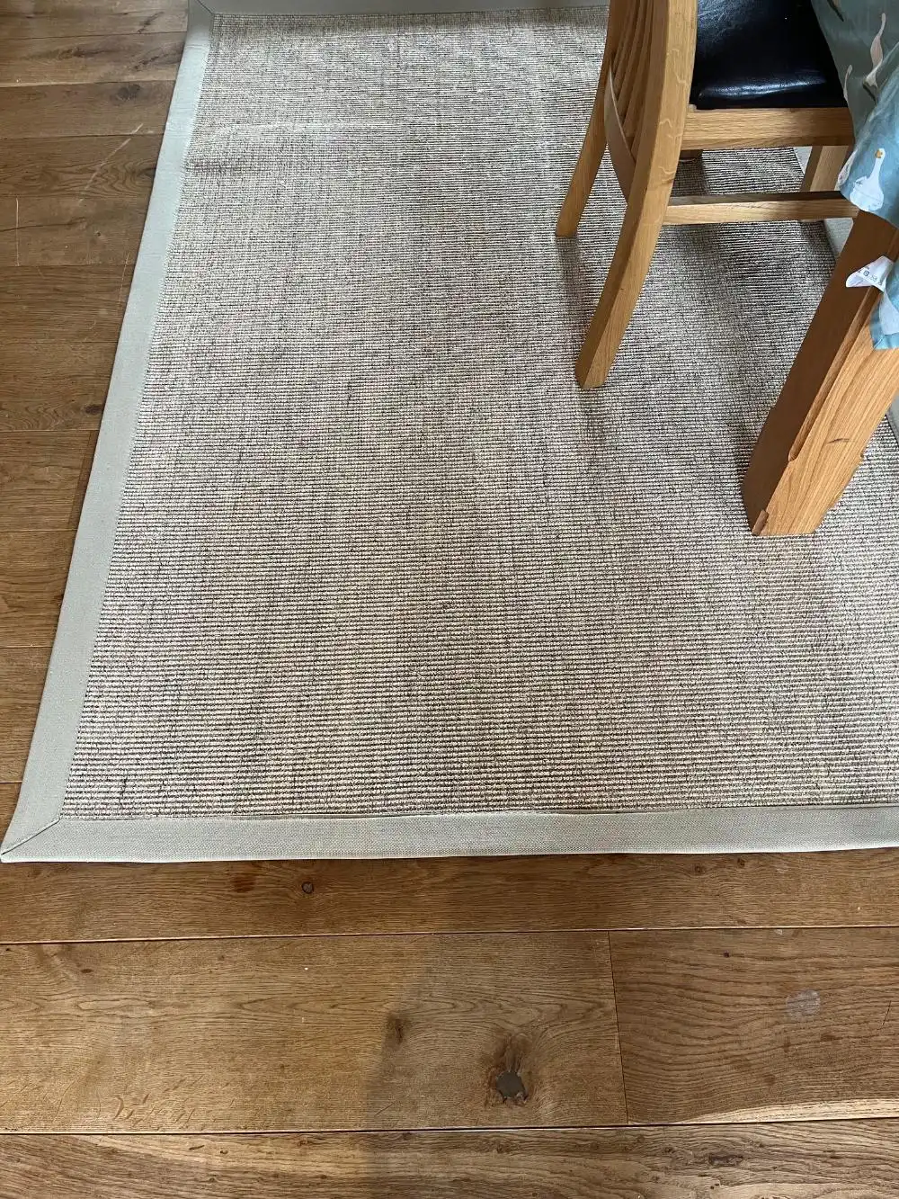Boucle Sisal Celeriac and Sandstone Border Rug
