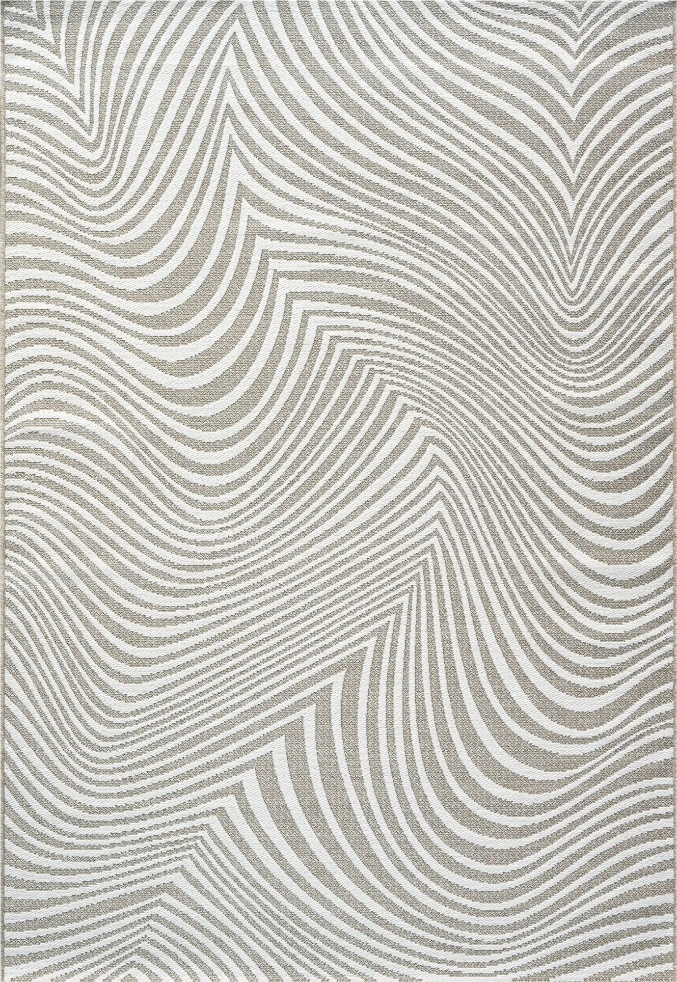 Brighton 98038 2026 Rug