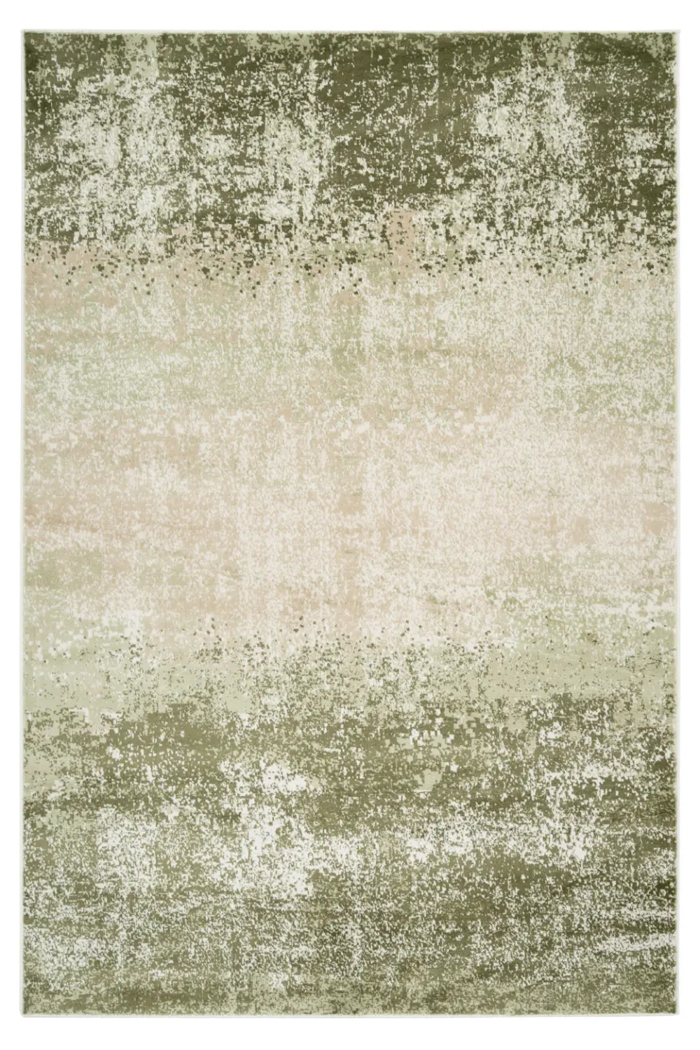 Catalina Barrow - Image 5