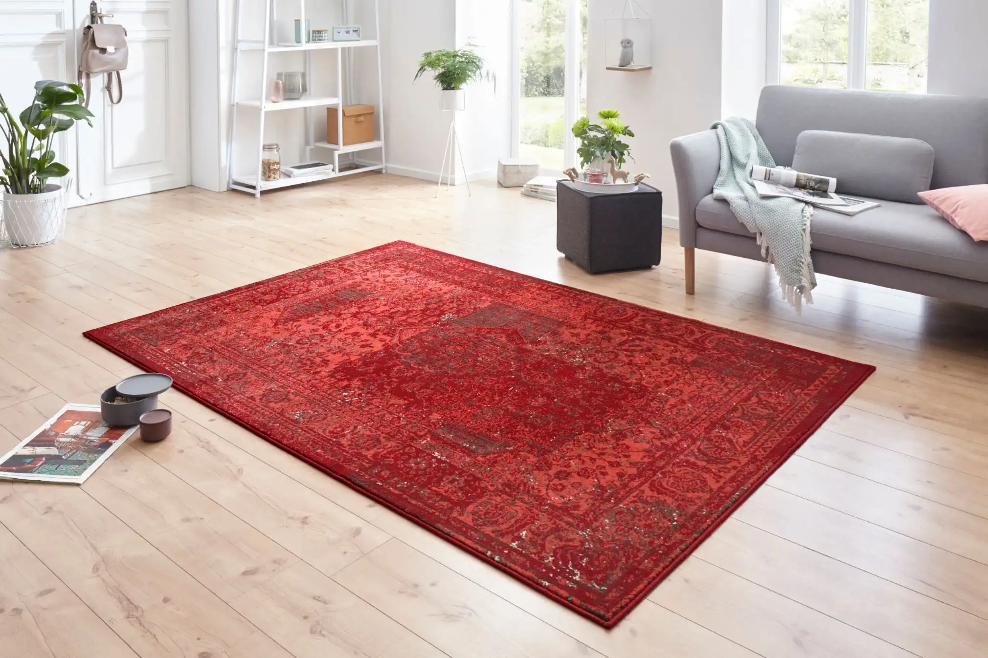 Celebration Plume Red 103467 Rug