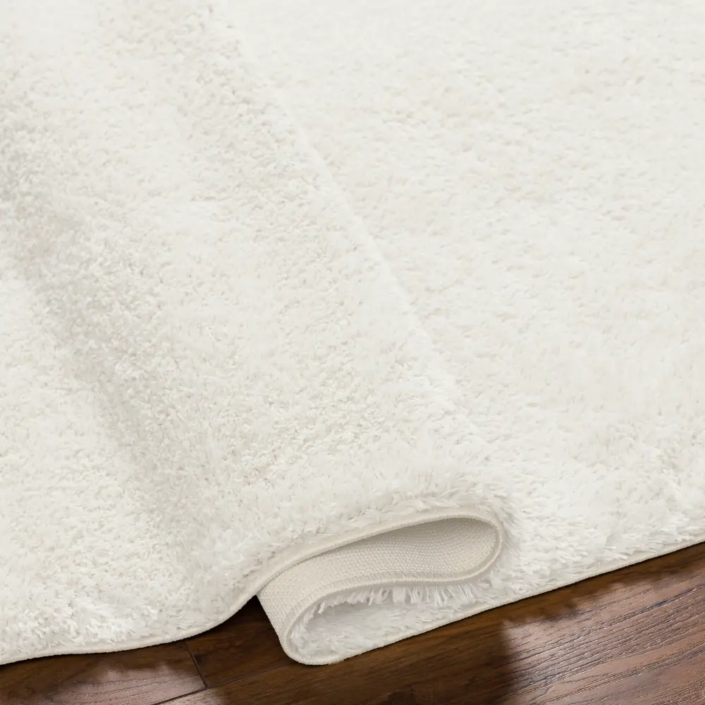 Claire Shaggy Solid Color Plush Pile Light Beige Rug - Image 10