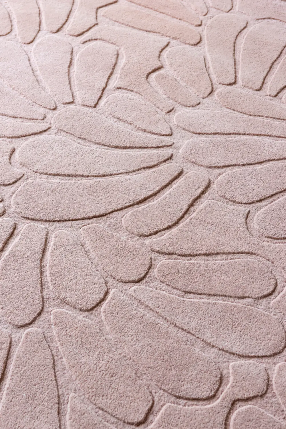 Coleby Petals Laura Ashley Chalk Pink 078802 Rug - Image 6