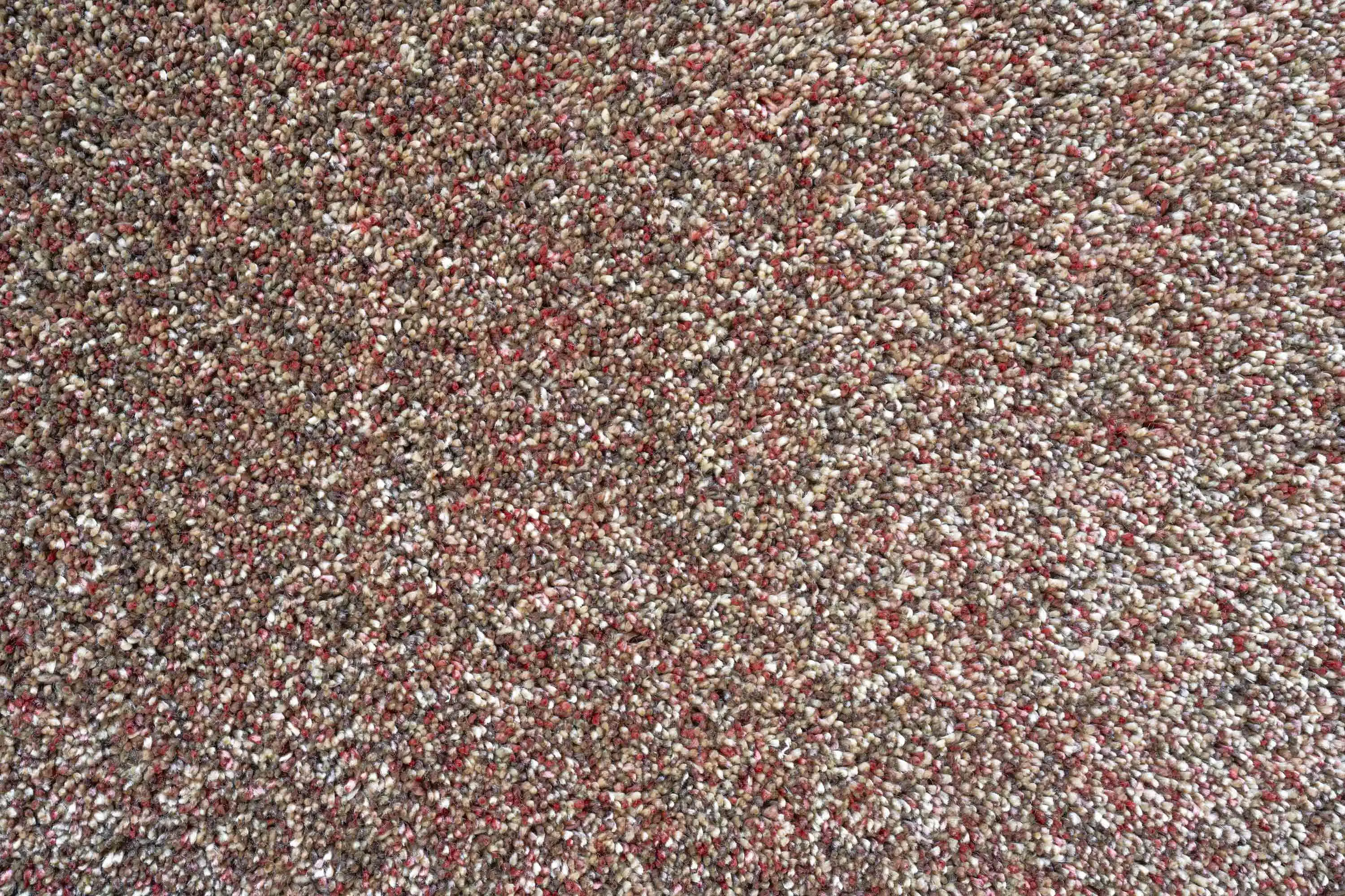 Coral 24001 1121 Rug - Image 2