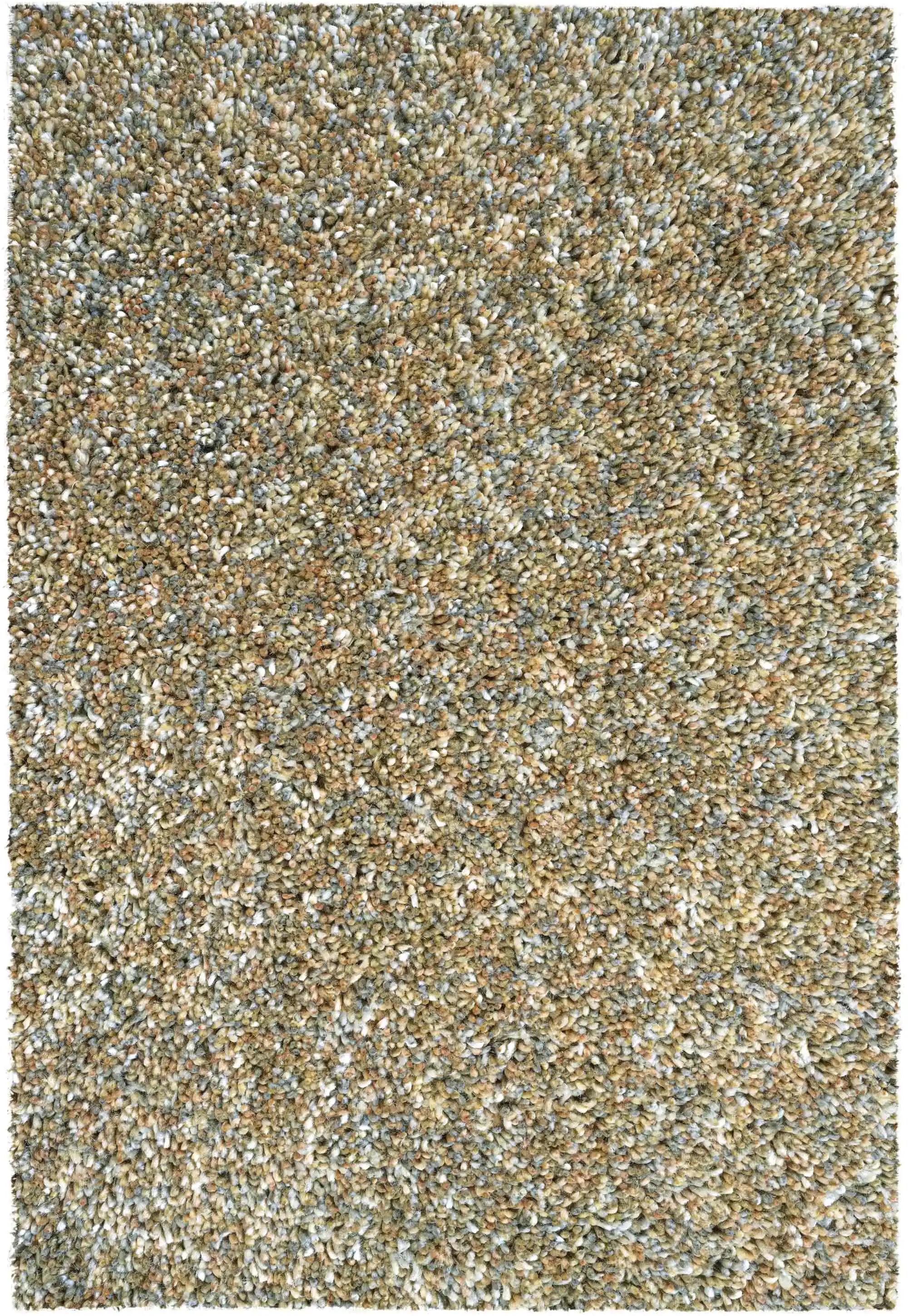Coral 24001 2191 Rug