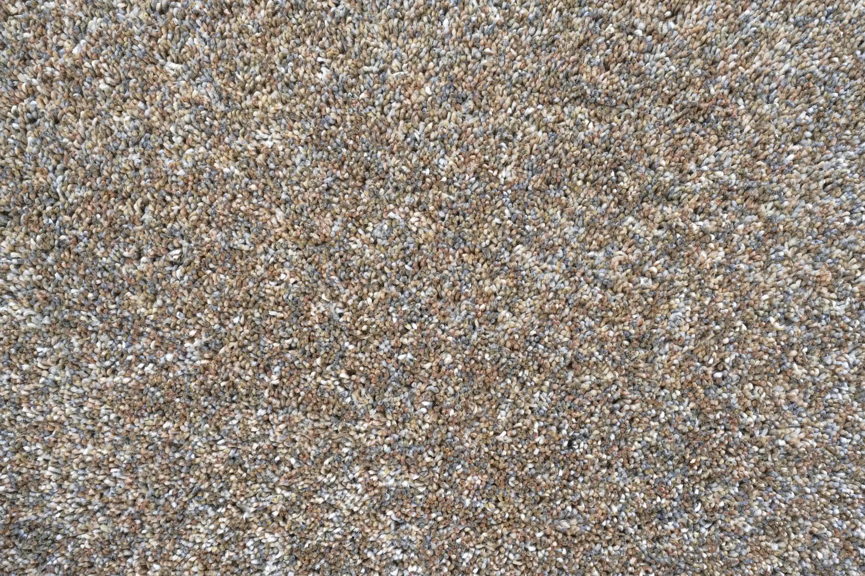 Coral 24001 2191 Rug - Image 2