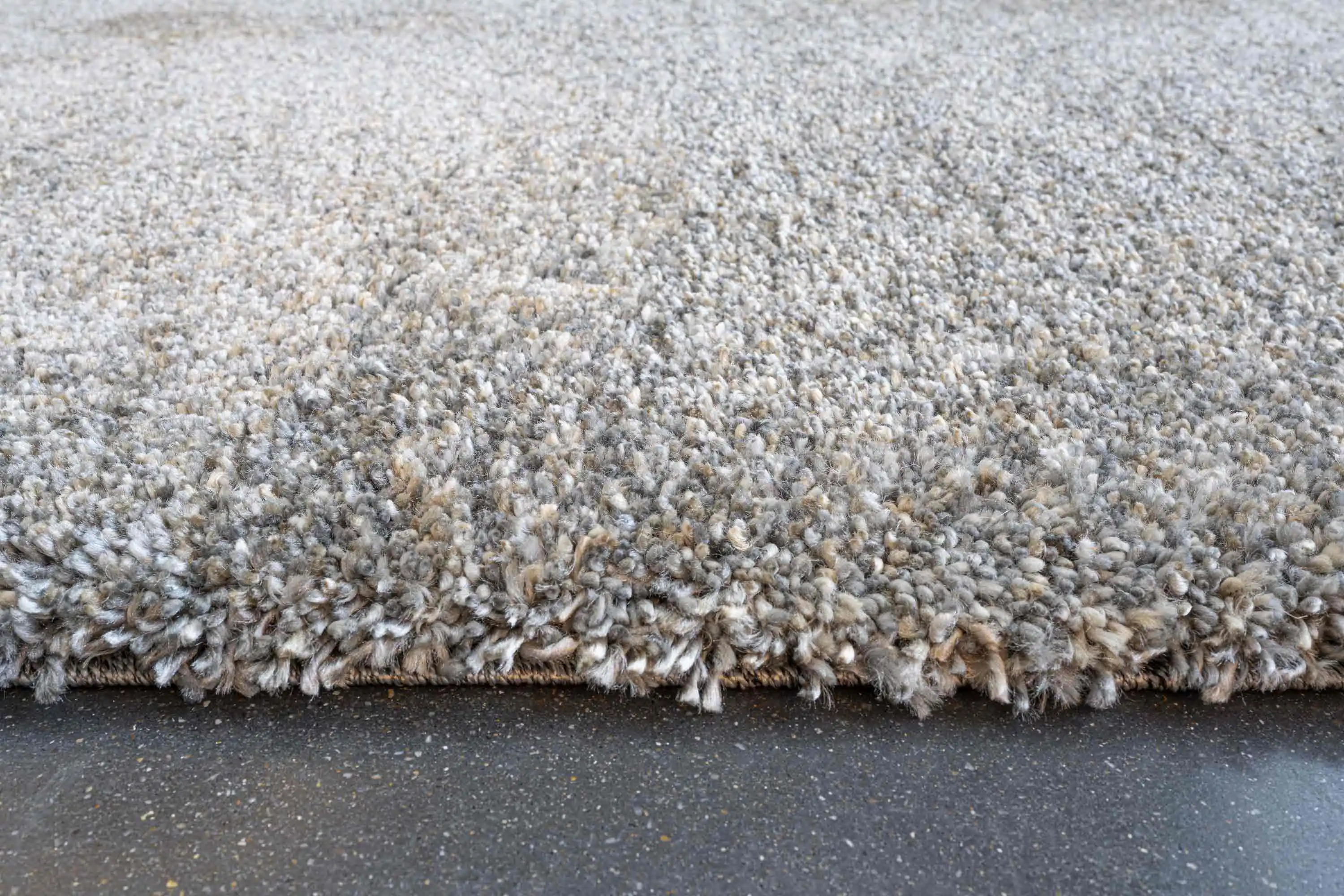 Coral 24001 3292 Rug - Image 3