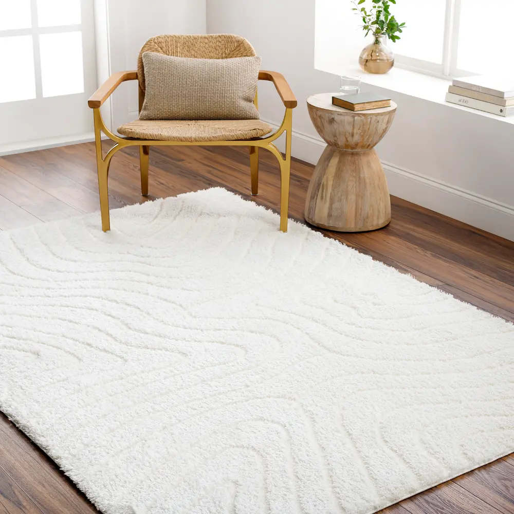 Danae Shaggy Modern Plush Pile Light Beige Rug