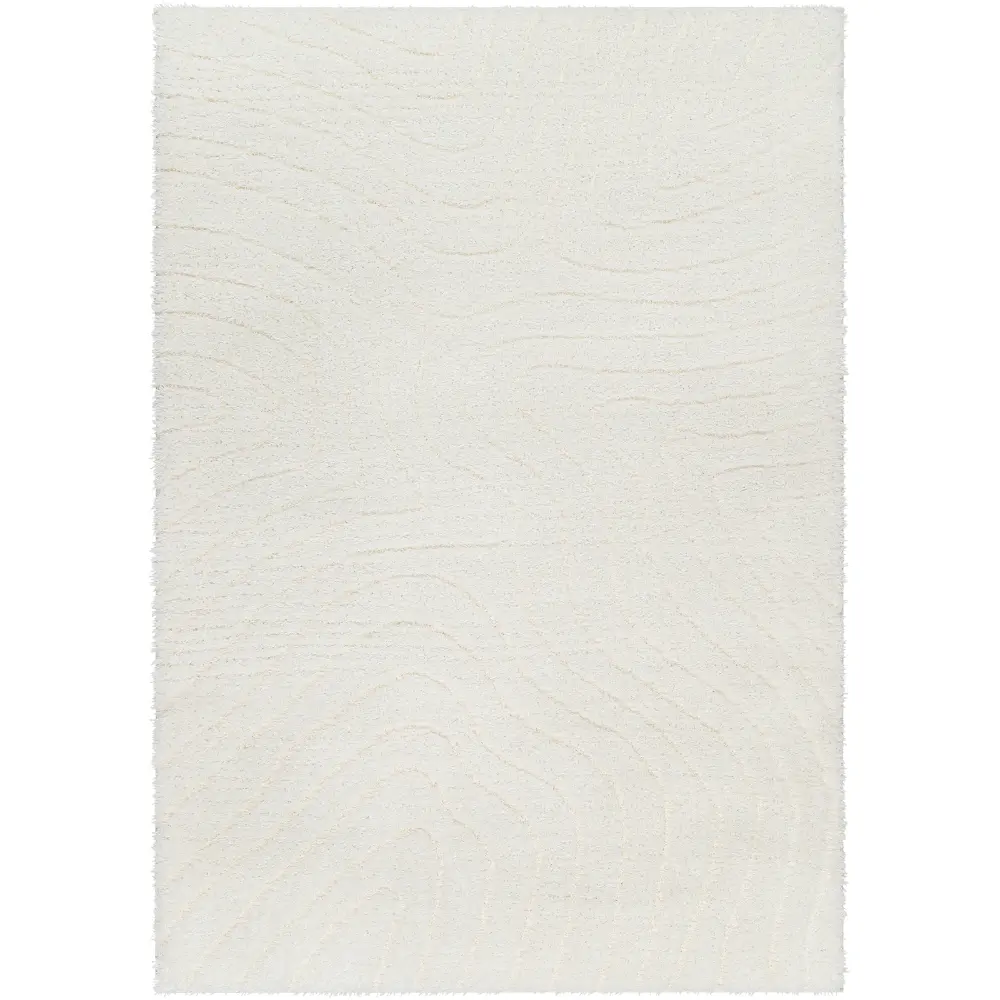 Danae Shaggy Modern Plush Pile Light Beige Rug - Image 5