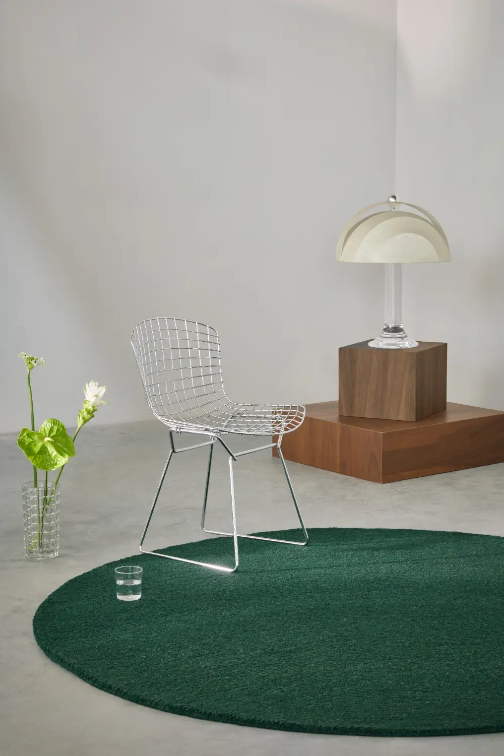 Decor  Echo Forest - Image 3