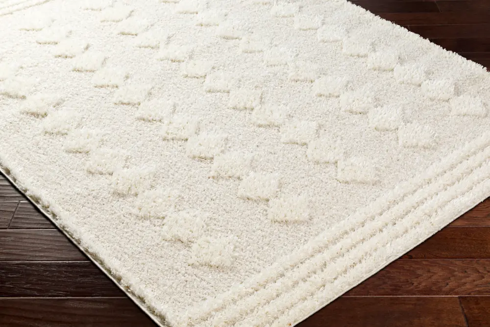 Elaheh Shaggy Modern Plush Pile Light Grey Rug - Image 3
