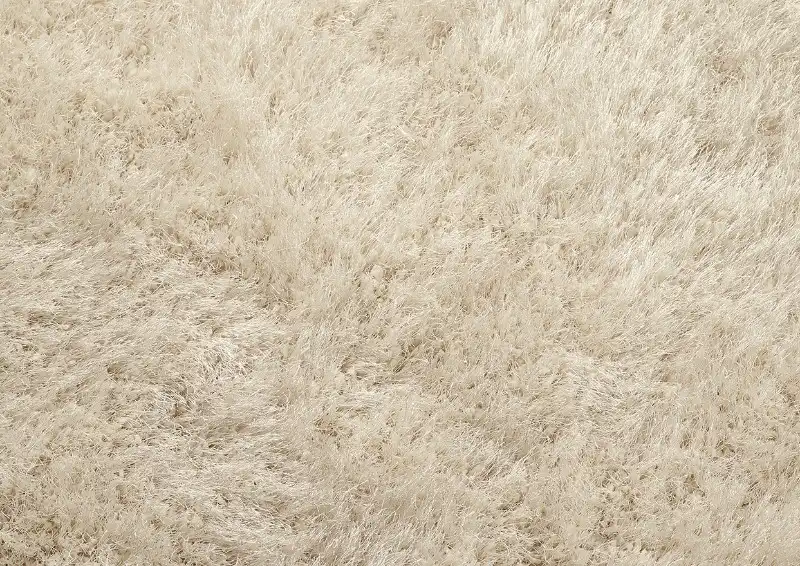 Extravagance Ivory Rug - Image 3