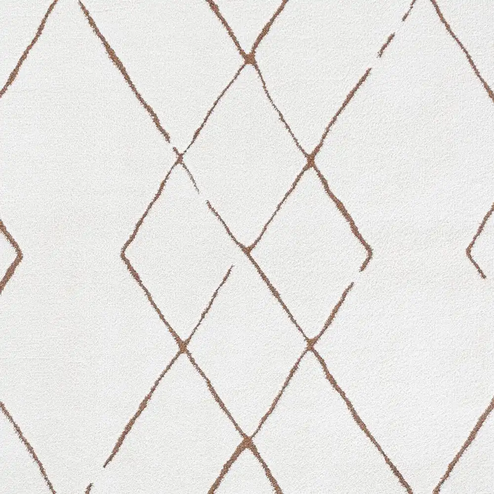Hannah Berber Modern High Pile Ivory/Brown Rug - Image 2