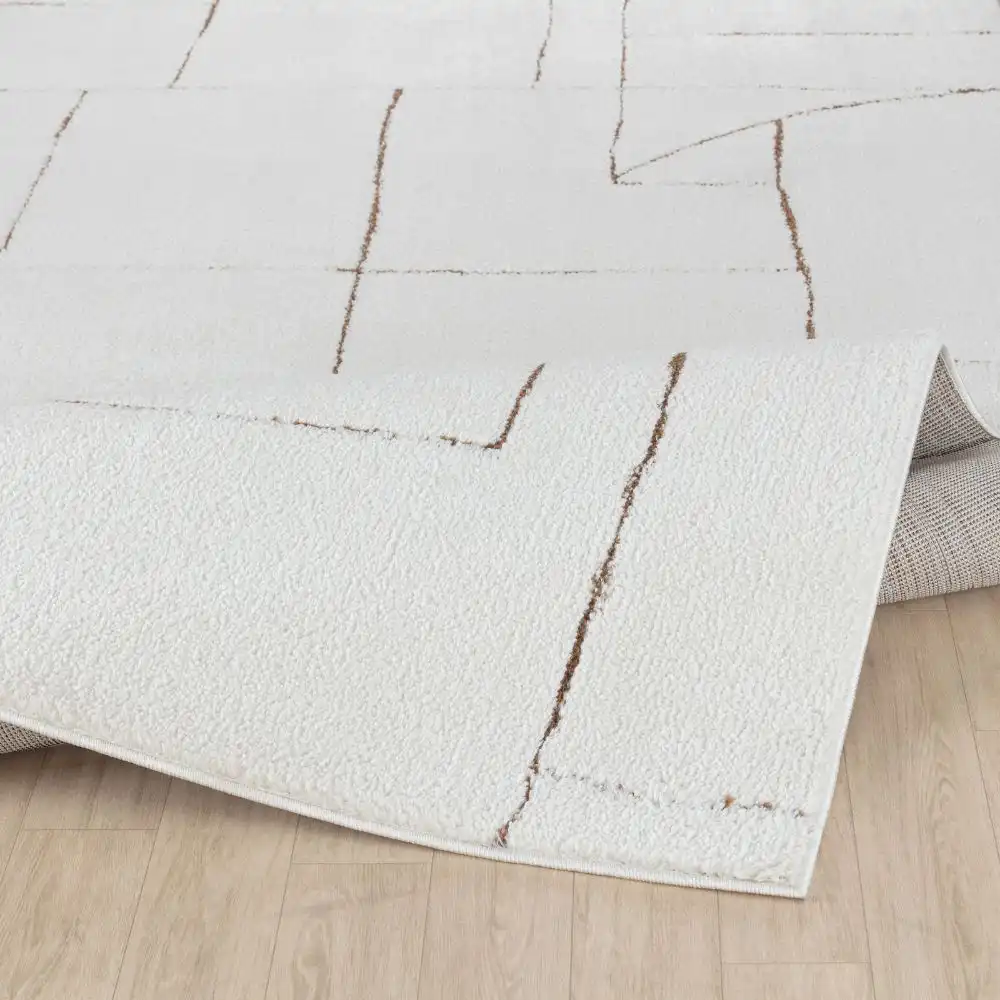 Lisa Scandi Modern High Pile Ivory/Brown Rug - Image 4