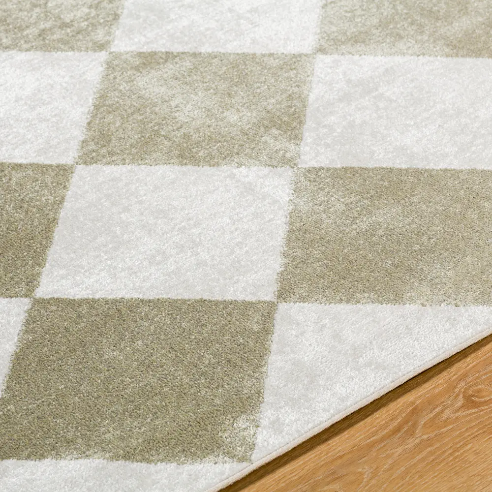 Ghislaine Machine Washable Modern Boho Diamond Dusty Sage Rug - Image 4