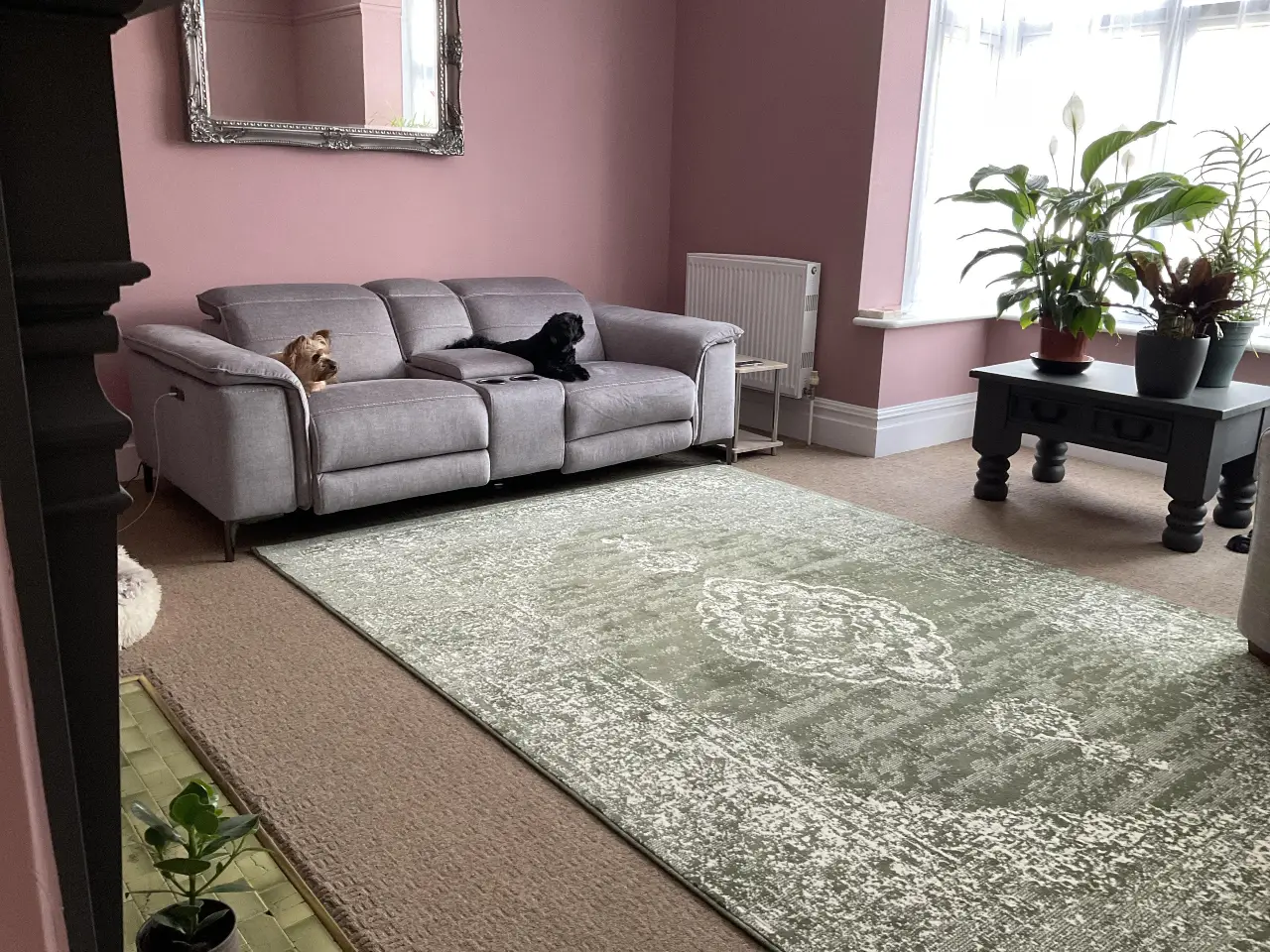Gloria 105519 Meridional Green Rug - Image 2