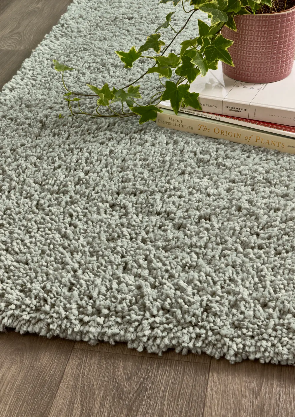 Hadley Eucalyptus - Image 2
