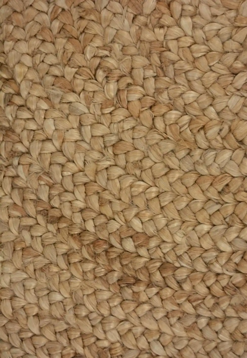Indian Jute Natural Rug - Image 3