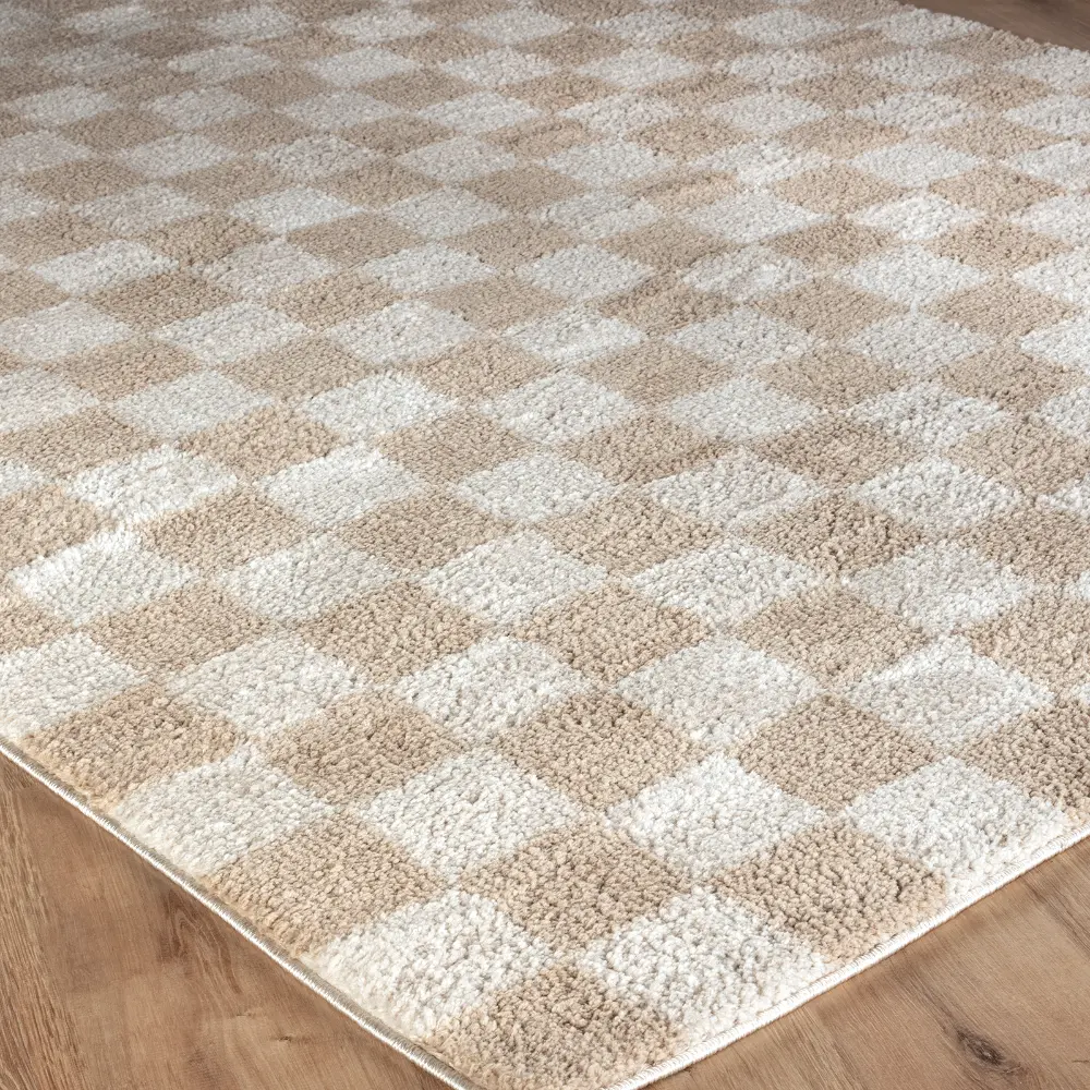 Izaline Machine Washable Checkered Shaggy Beige Rug - Image 6