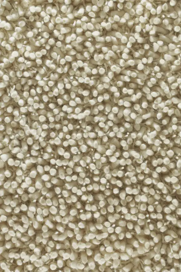 Maine Guru RG-MAIN-IVO Rug - Image 3