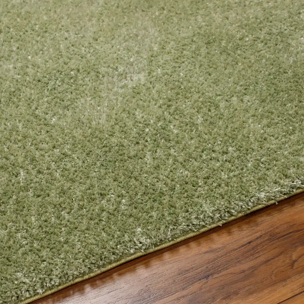 Claire Shaggy Solid Color Plush Pile Moss Green Rug - Image 2