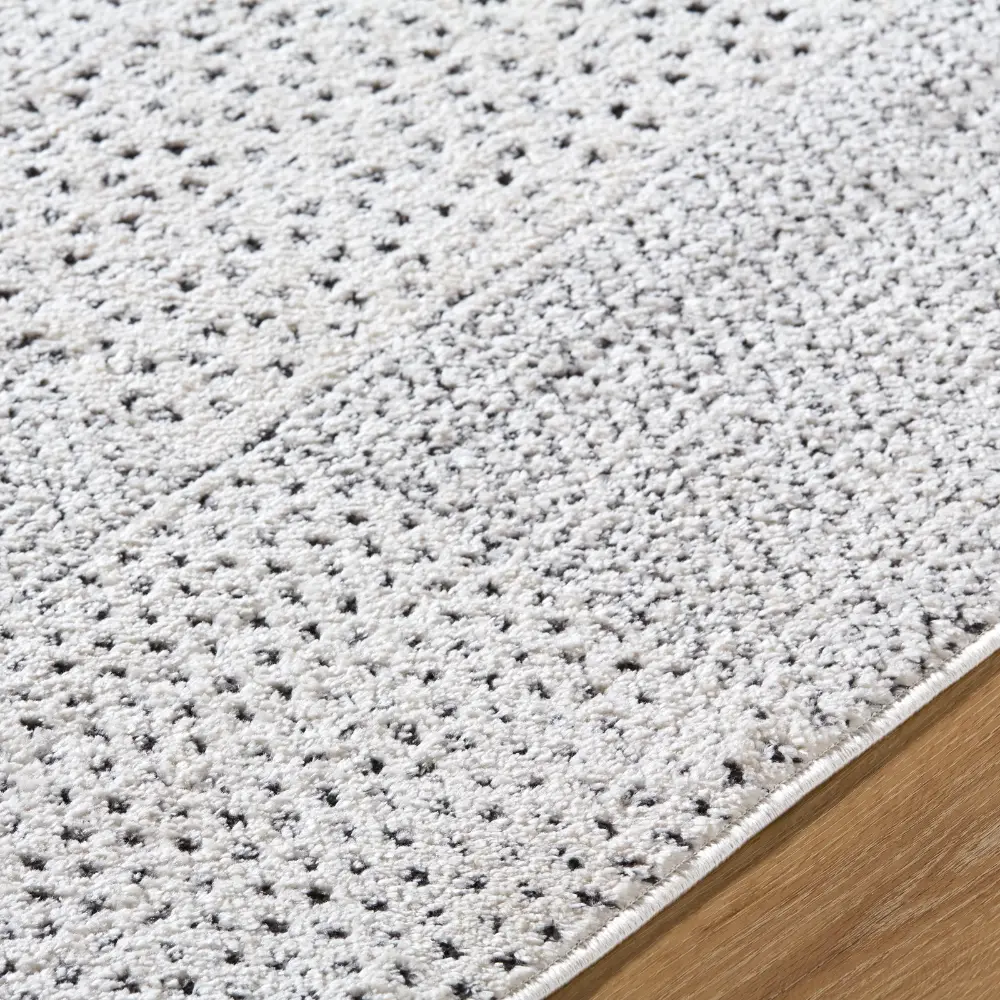 Architect III Galey Alix X Livabliss Modern Scandi High Pile Ivory Rug - Image 3