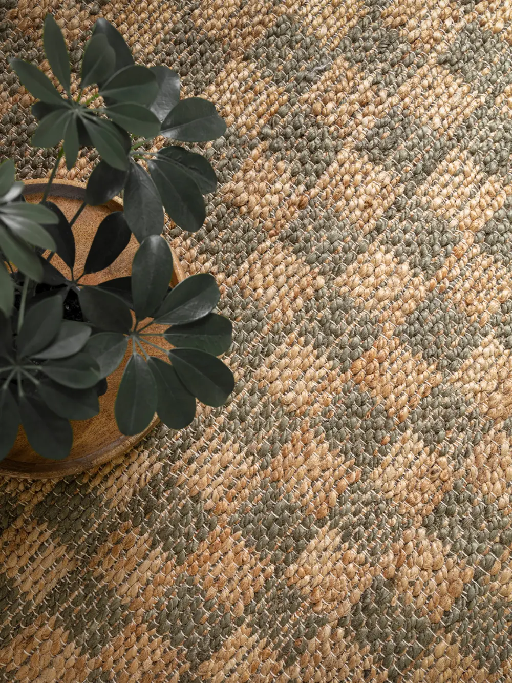 Naturi Olive Green - Image 9