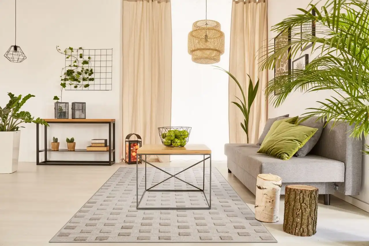 Noble Amore Light Grey Rug