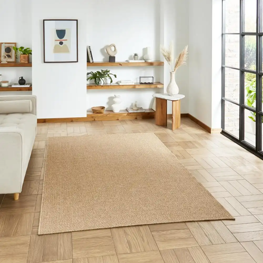 Nomad Indoor Outdoor 5014 Brown Rug