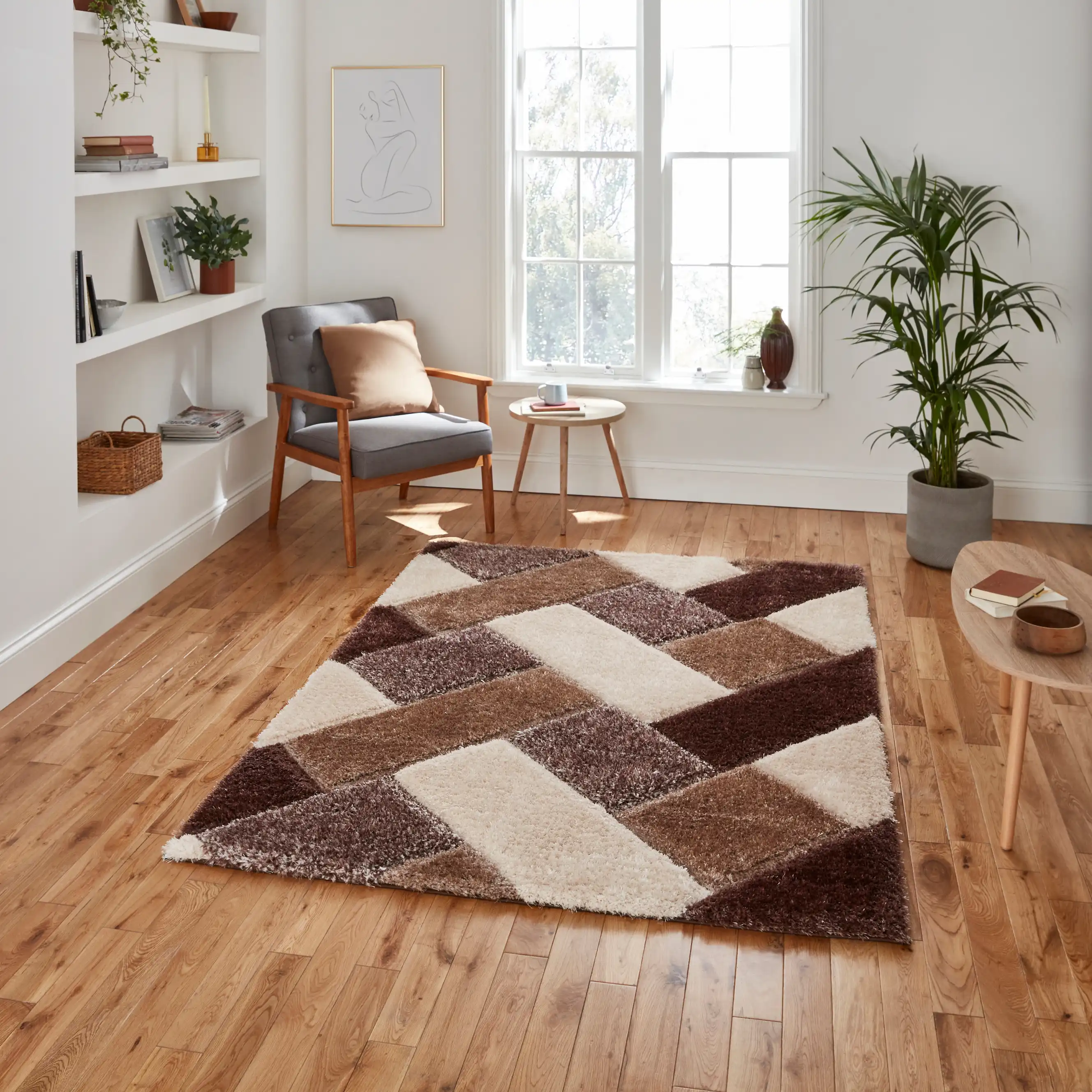 Olympia 2239 Beige Brown Rug