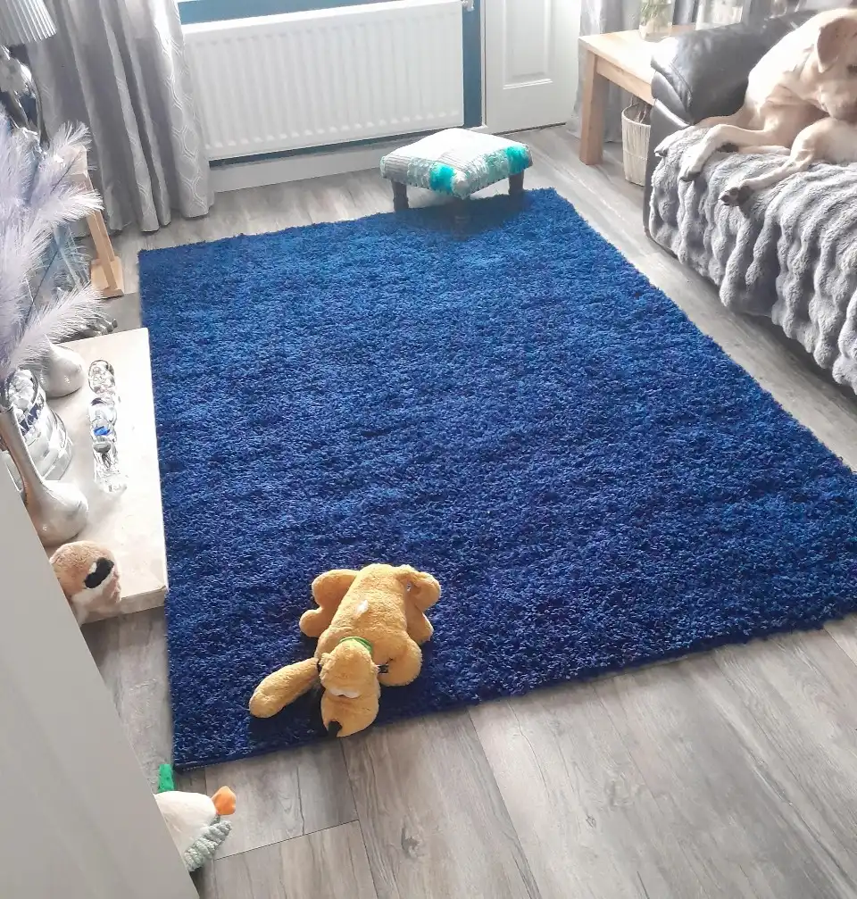 Oxford 912 Navy Rug - Image 2