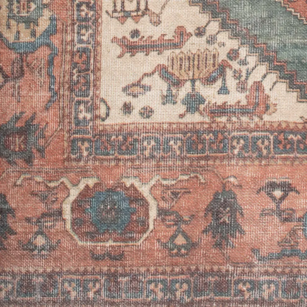 Renuu Faro Terra - Image 4