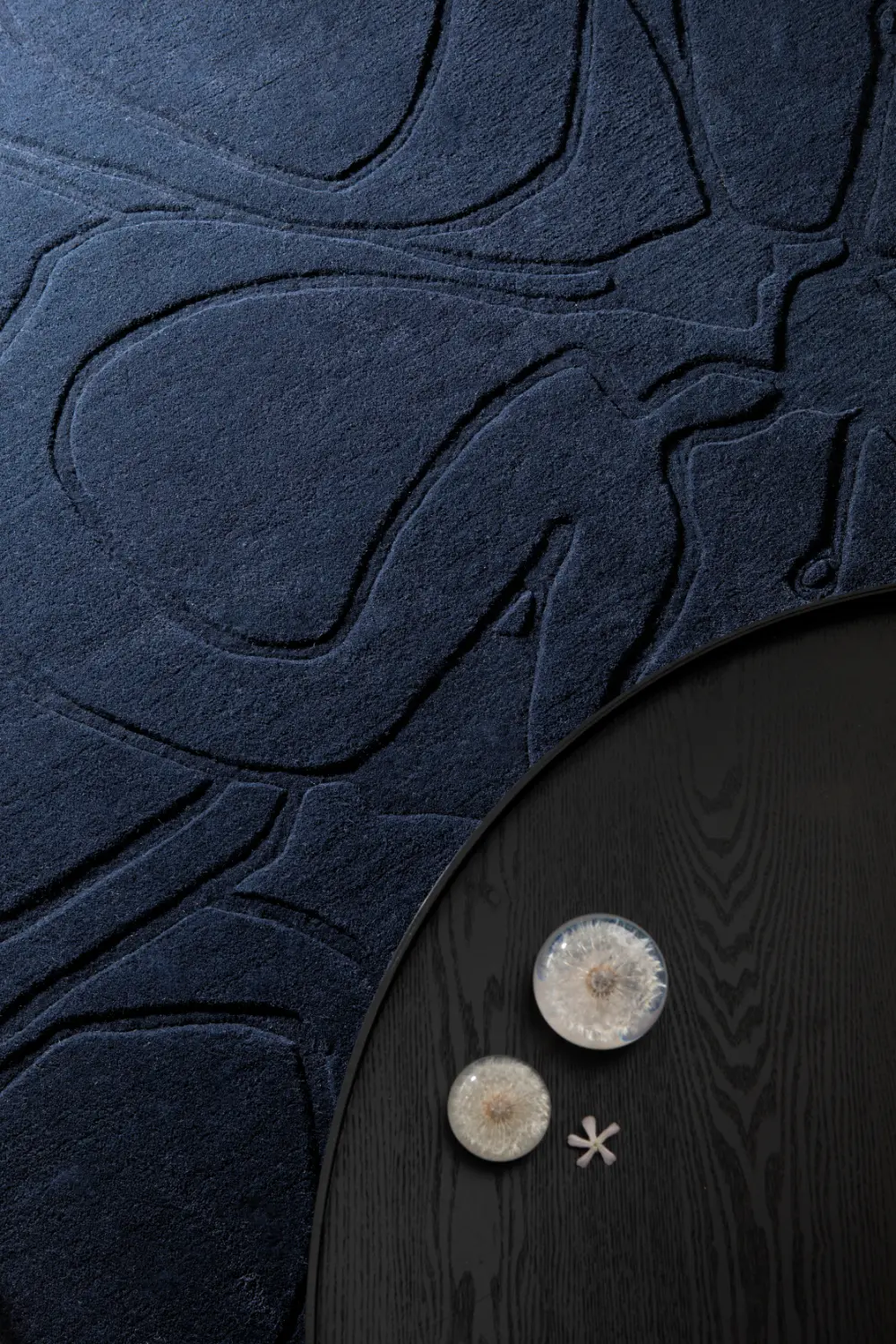 Romantic Magnolia Ted Baker -Dark Blue 162708 Rug