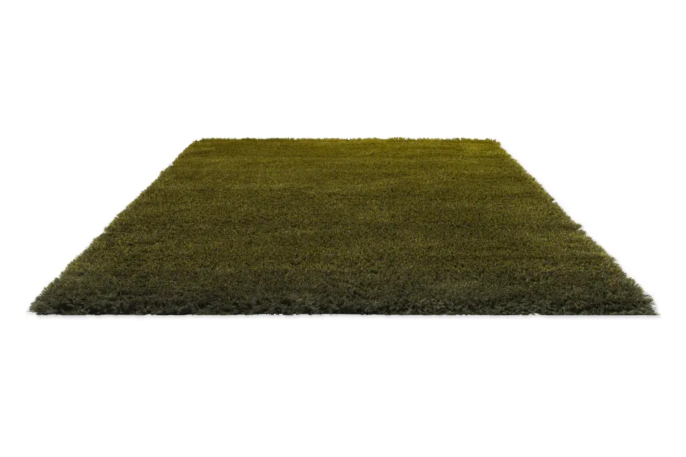 Shade High Olive/Deep Forest 011907 Rug - Image 4