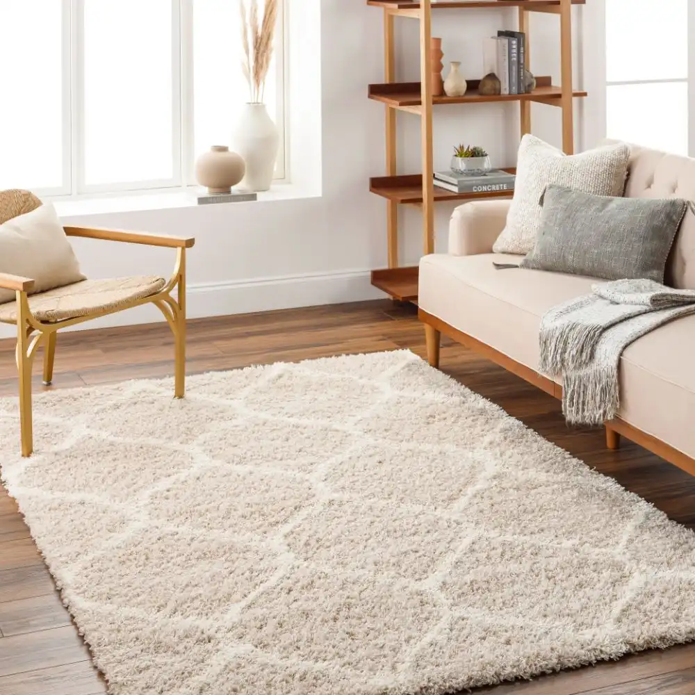 Judy Shaggy Cottage Plush Pile Beige Rug