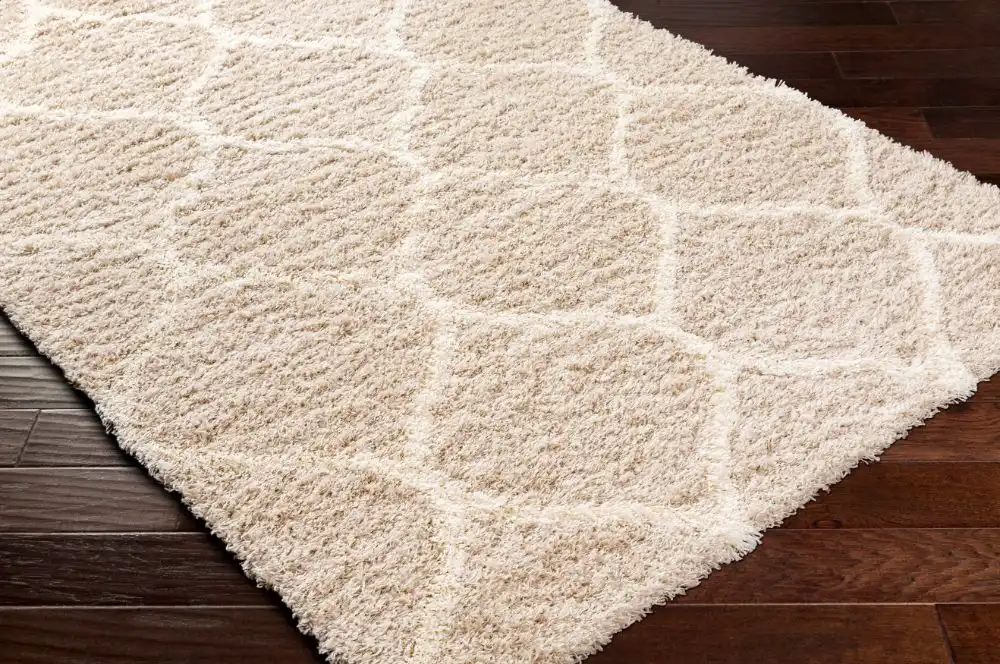 Judy Shaggy Cottage Plush Pile Beige Rug - Image 3