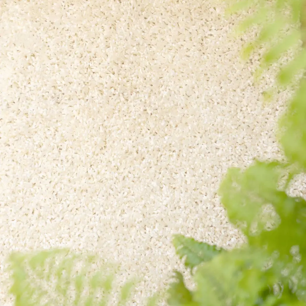 Nore  Cream - Image 6