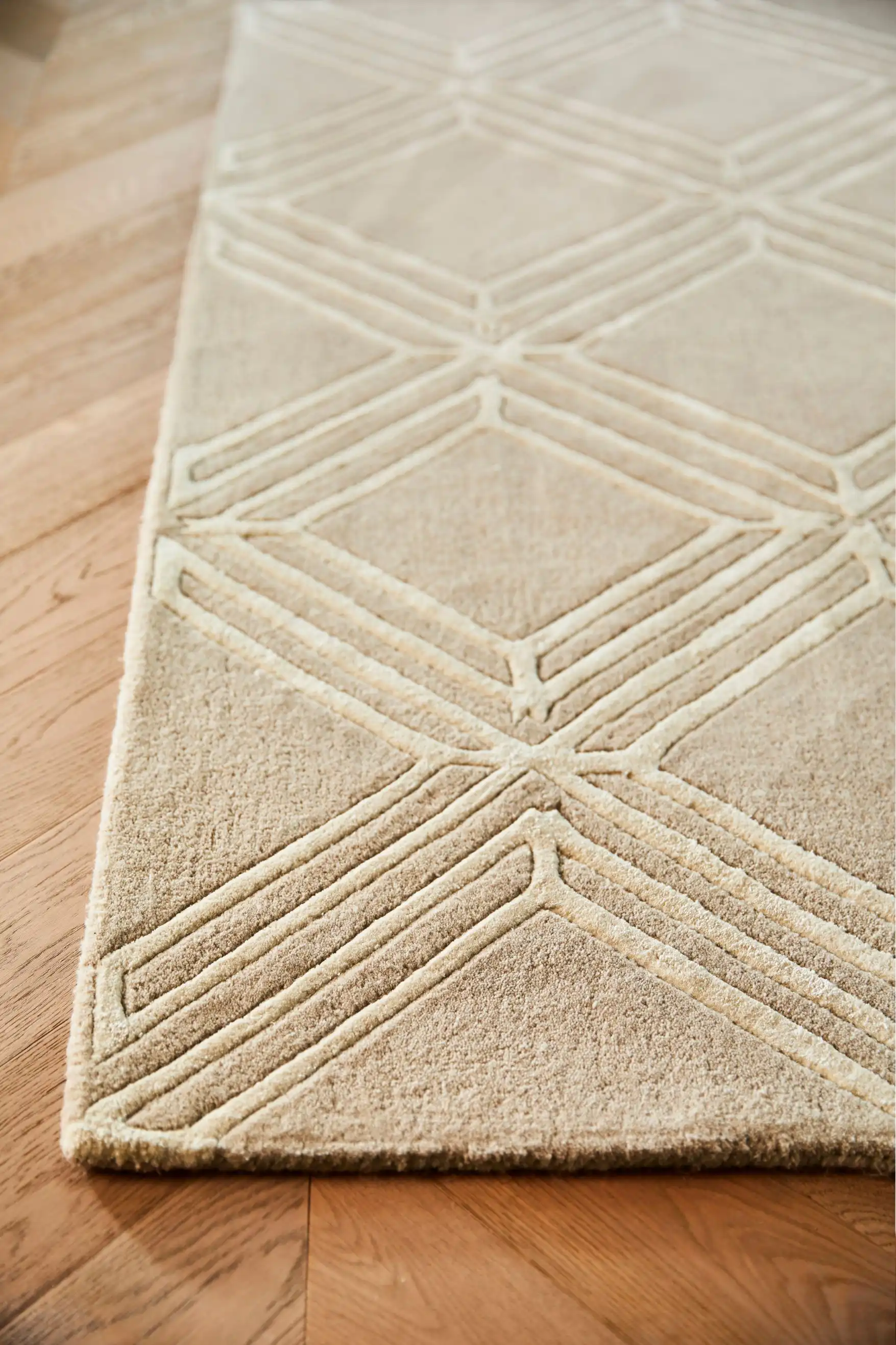 Vienna Mink Rug - Image 2