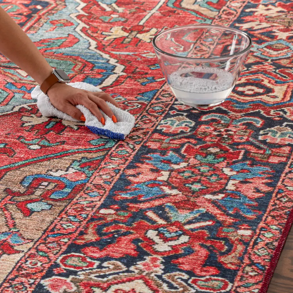 Viorica Vintage Oriental Boho Bright Red/Navy/Wheat/Ice Blue/Grass Rug - Image 11