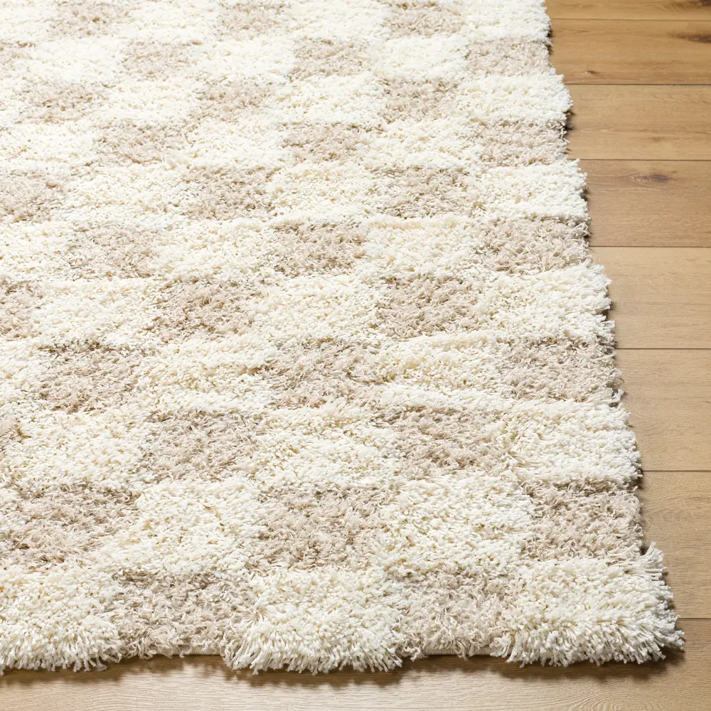 Willa Shaggy Modern Plush Pile Light Beige Checkered Rug - Image 12